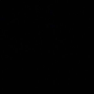 Meet your Posher, Dorliyah